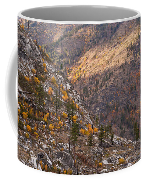 Autumn Coffee Mug featuring the photograph Autumn Layers by Mike Reid