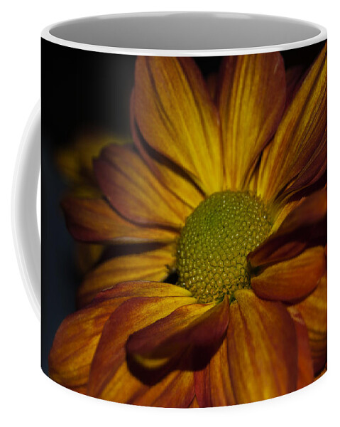 Flower Coffee Mug featuring the photograph Autumn Mum by Judy Hall-Folde