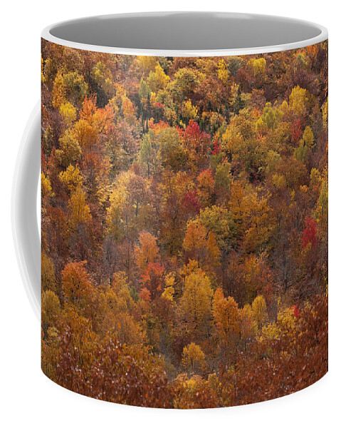 Fall Autumn Colours Colors Rust Orange Yellow Landscape Quebec mont Ste Marie Coffee Mug featuring the photograph Autumn Palette by Eunice Gibb