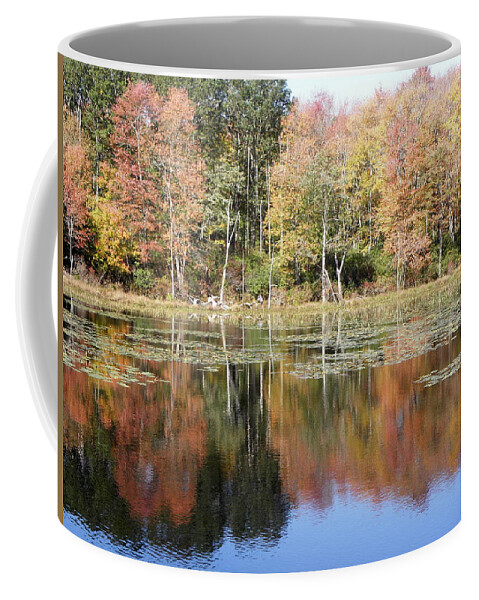 Autumn Coffee Mug featuring the photograph Autumn reflections by Kim Galluzzo