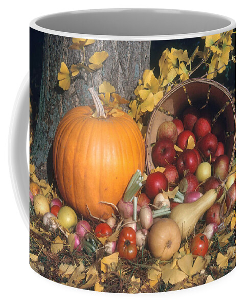 Autumn Coffee Mug featuring the photograph Autumn Still Life by Photo Researchers, Inc.