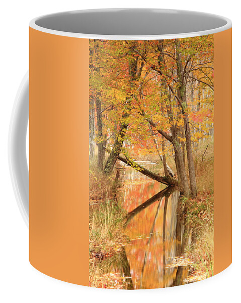 Autumn Coffee Mug featuring the photograph Autumn Stream by Roupen Baker