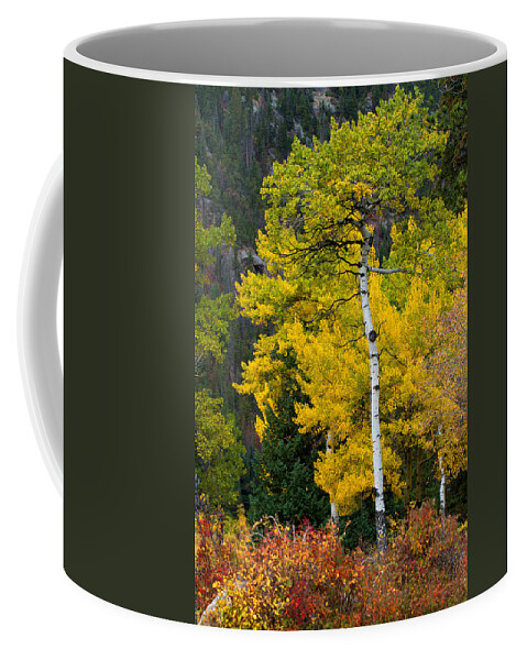 Autumn Colors Coffee Mug featuring the photograph Autumn Wonder by Jim Garrison
