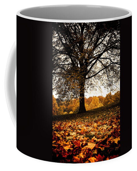 Autumn Coffee Mug featuring the photograph Autumnal Park by Lenny Carter