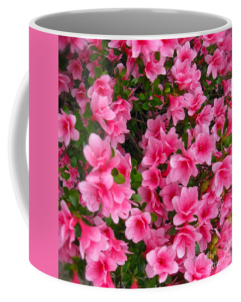 Azalea Bush Coffee Mug featuring the photograph Azalea in Bloom by Nancy Patterson