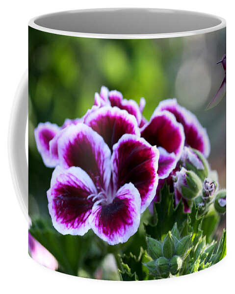 Azalea Coffee Mug featuring the photograph Azalea with Hummingbird by Diana Haronis