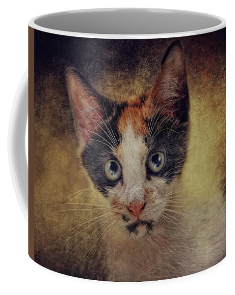 Cats Coffee Mug featuring the photograph Bacchus by Pat Abbott