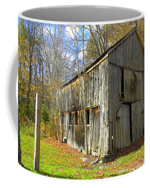 Fall Setting Coffee Mug featuring the photograph Back in Time by Kim Galluzzo