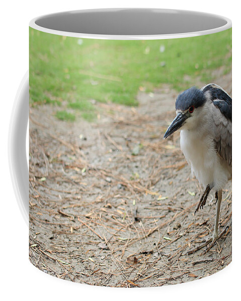 Bird Coffee Mug featuring the photograph Balance by Heidi Smith