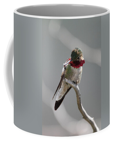 Hummingbird Coffee Mug featuring the photograph Balancing Act by Shane Bechler