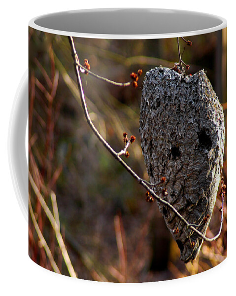 Usa Coffee Mug featuring the photograph Bald faced hornet nest by LeeAnn McLaneGoetz McLaneGoetzStudioLLCcom