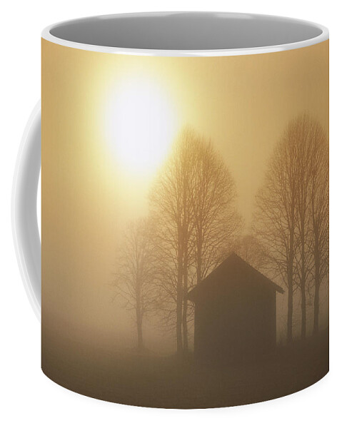 Mp Coffee Mug featuring the photograph Barn, Trees And Sun Shining by Konrad Wothe