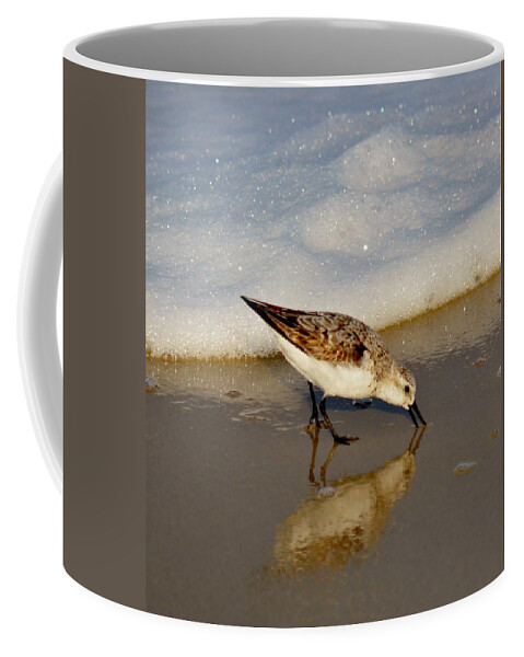 Animal Coffee Mug featuring the photograph Beach Bird by Billy Beck