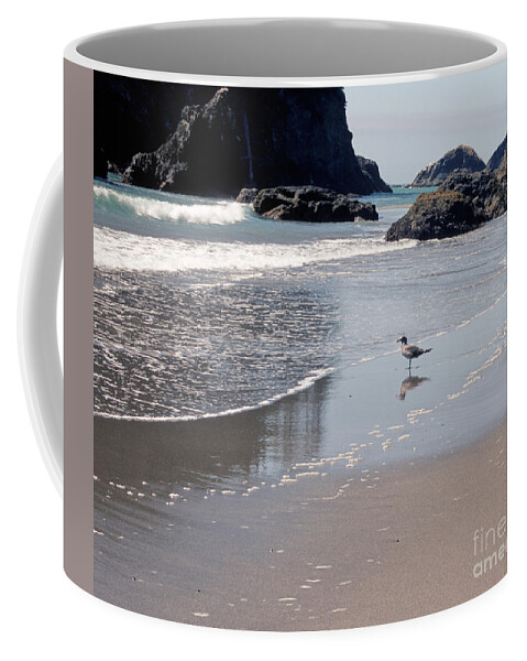 Trinidad Coffee Mug featuring the photograph Beachcomber by Sharon Elliott