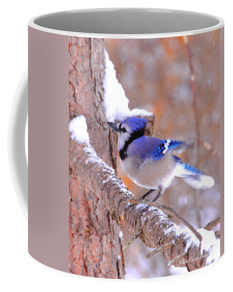  Coffee Mug featuring the photograph 'Beautiful Blue Jay in Snow' by PJQandFriends Photography