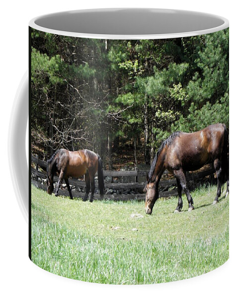 Horse Photography Coffee Mug featuring the photograph Beautiful Geldings Grazing by Kim Galluzzo