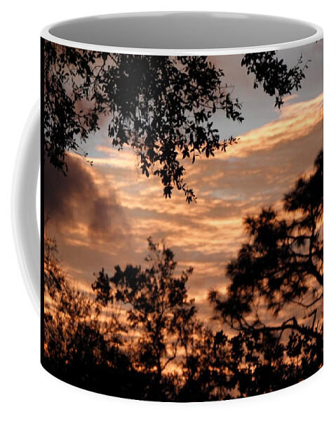 Trees Coffee Mug featuring the photograph Beauty Beyond The Trees by Kim Galluzzo