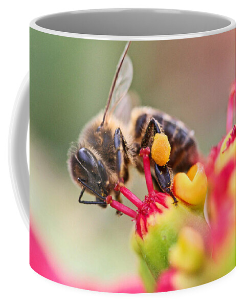 Bees Coffee Mug featuring the photograph Bee At Work by Ralf Kaiser