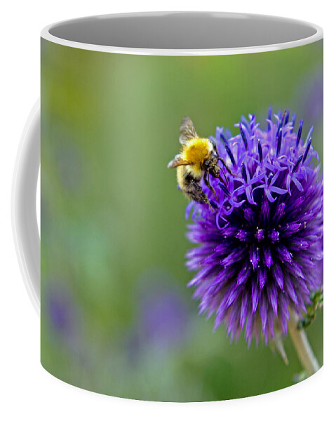 Bee Coffee Mug featuring the photograph Bee on garden flower by David Freuthal