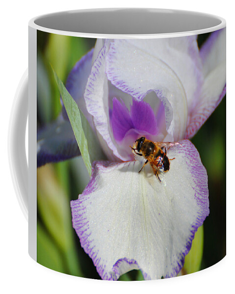 Beautiful Iris Coffee Mug featuring the photograph Bee on the Iris by Jai Johnson