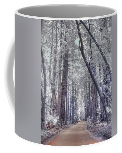 Big Sur Coffee Mug featuring the photograph Big Sur State Park by Jane Linders