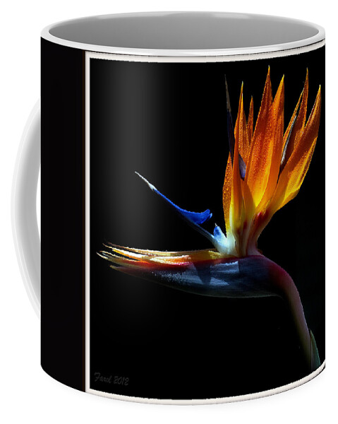 Bird Coffee Mug featuring the photograph Bird of Paradise Two Days Later by Farol Tomson