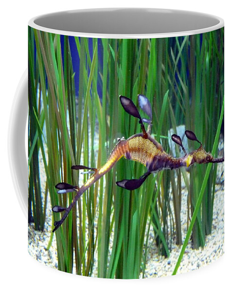 Seahorse Coffee Mug featuring the photograph Black Dragon Seahorse by Carla Parris