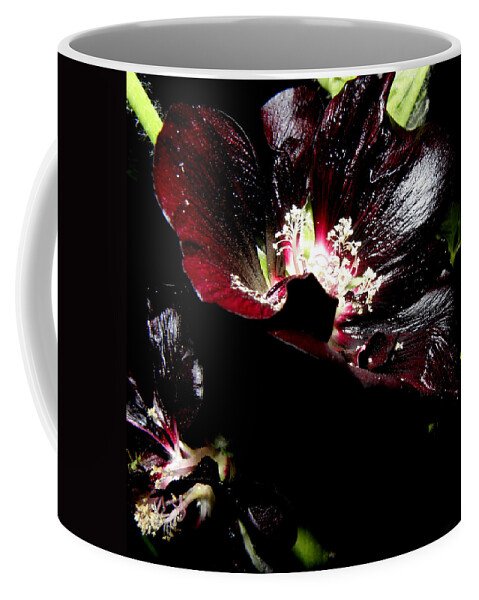 Black Hollyhock Coffee Mug featuring the photograph Black is Beautiful by Kim Galluzzo Wozniak