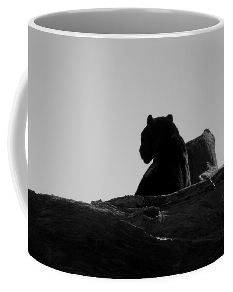 Black Coffee Mug featuring the photograph Black Jaguar by Kim Galluzzo Wozniak
