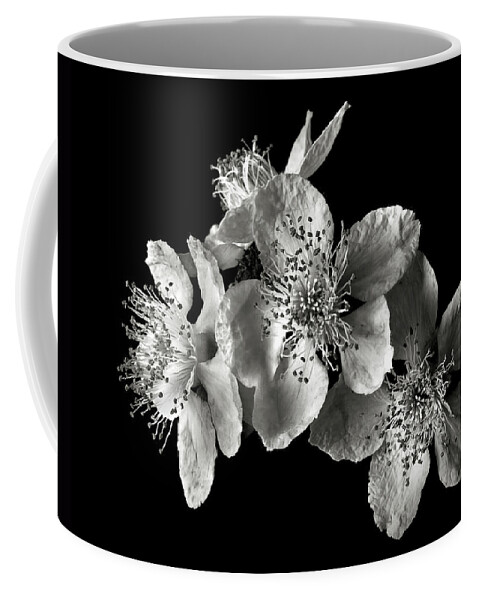 Flower Coffee Mug featuring the photograph Blackberry Flowers in Black and White by Endre Balogh