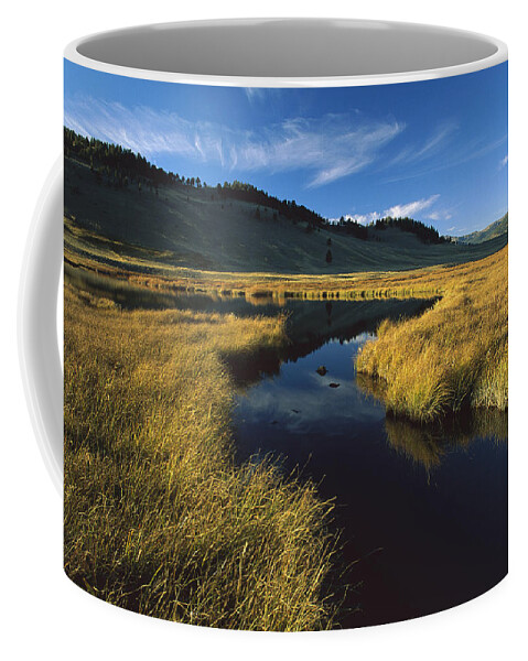 00171332 Coffee Mug featuring the photograph Blacktail Lake Yellowstone National by Tim Fitzharris