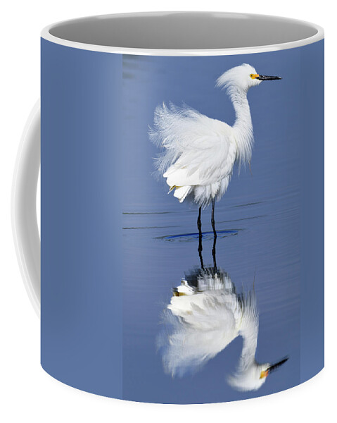Snowy Coffee Mug featuring the photograph Blowing in the wind by Bill Dodsworth