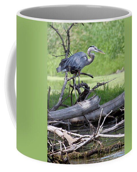 Blue Heron Coffee Mug featuring the photograph Blue Heron at the lake by Debbie Hart