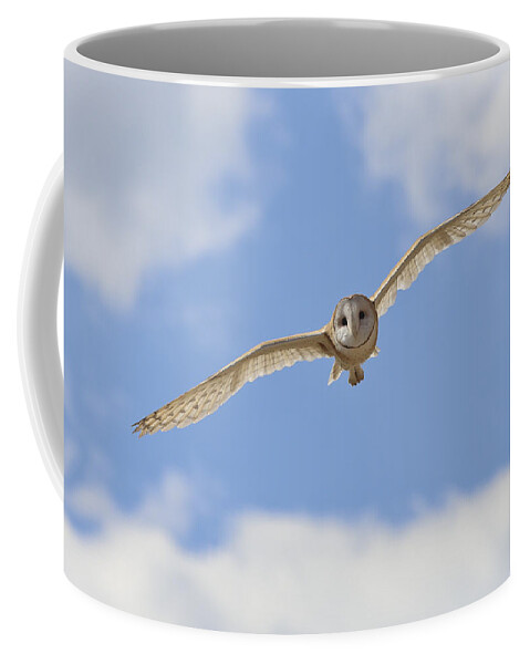 Landscape Coffee Mug featuring the photograph Blue sky barn owl by John T Humphrey