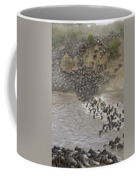 00761234 Coffee Mug featuring the photograph Blue Wildebeest Migrating Across Mara by Suzi Eszterhas