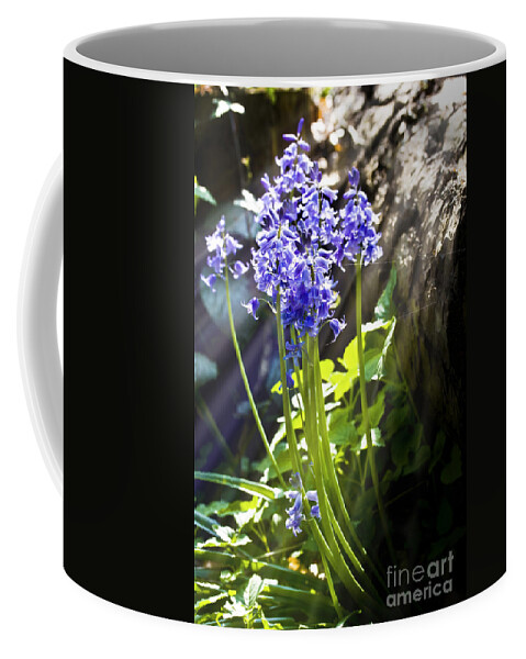 Wild Flowers Coffee Mug featuring the photograph Bluebells in the woods by Simon Bratt