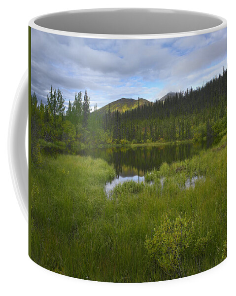 00176110 Coffee Mug featuring the photograph Boreal Forest With Pond And Antimony by Tim Fitzharris