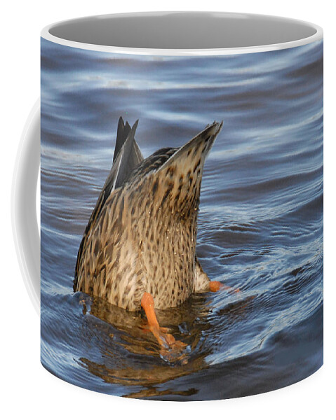 Nature Coffee Mug featuring the photograph Bottom's Up by Cindy Manero
