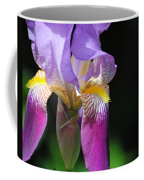 Beautiful Iris Coffee Mug featuring the photograph Brilliant Purple Iris Flower II by Jai Johnson