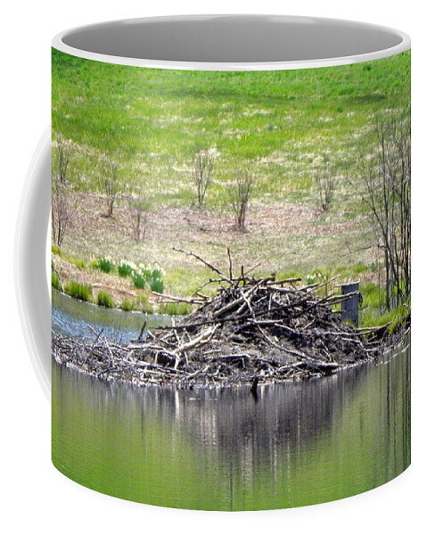 Pond Coffee Mug featuring the photograph Budky The Beavers Dam by Kim Galluzzo