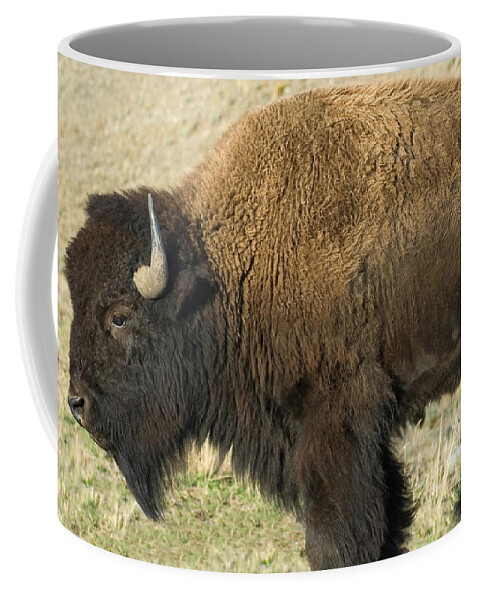 Buffalo Mug for Sale by Lane