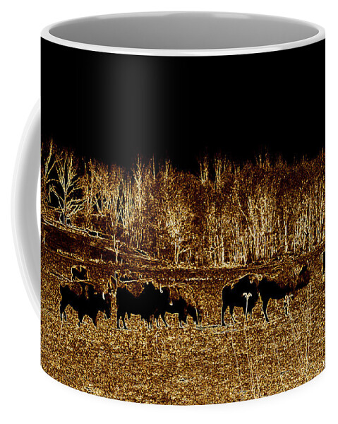 Buffalo Coffee Mug featuring the photograph Buffalos roaming by Kim Galluzzo
