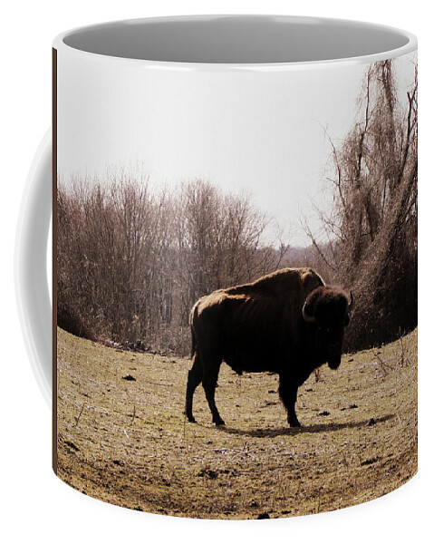 Bull Coffee Mug featuring the photograph Bull by Kim Galluzzo