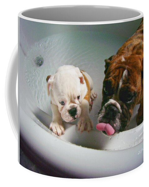 Bulldog Coffee Mug featuring the photograph Bulldog Bath Time II by Jeanette C Landstrom