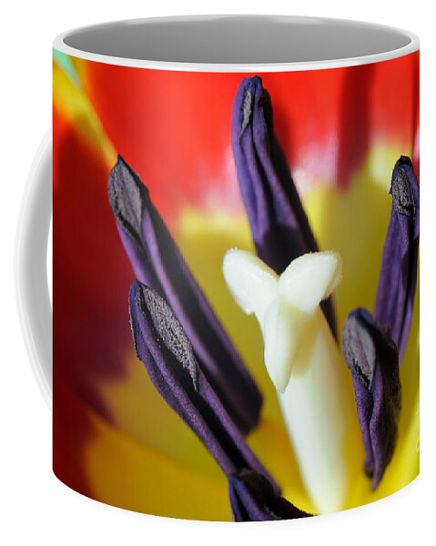Flower Coffee Mug featuring the photograph Burst by Luke Moore