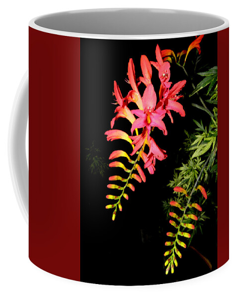 Flower Coffee Mug featuring the photograph Burst Of Beauty by Kim Galluzzo