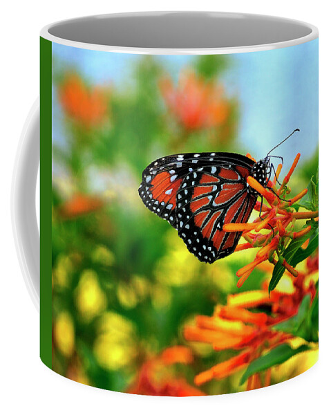 Queen Buterfly Coffee Mug featuring the photograph Burst of Color by Bill Dodsworth