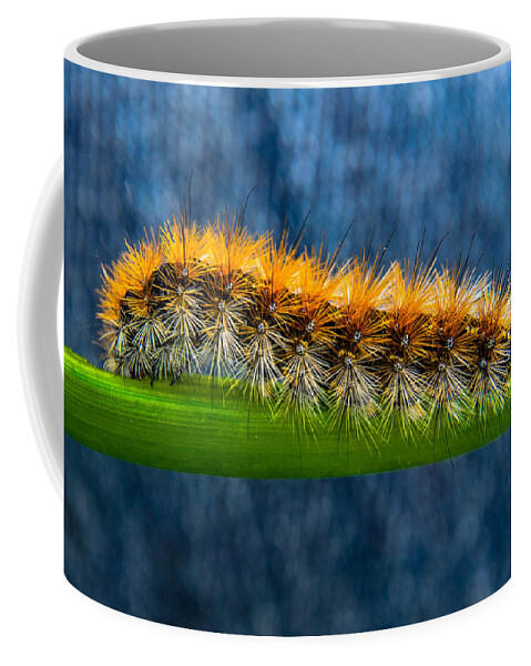 Animal Coffee Mug featuring the photograph Butterfly Caterpillar Larva On The Stem by Michael Goyberg