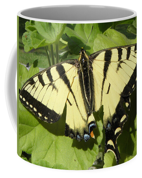 Butterfly Coffee Mug featuring the photograph Butterfly that got away by Kim Galluzzo
