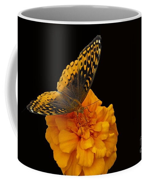 Butterfly Coffee Mug featuring the photograph Butterfly visitor by Cindy Manero